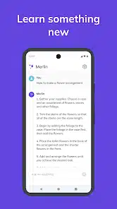 تحميل تطبيق Merlin AI دردشة الذكاء الاصطناعي للاندرويد والايفون 2025 اخر اصدار مجانا