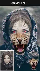 تحميل تطبيق Animal Face App للاندرويد والايفون 2025 اخر اصدار مجانا