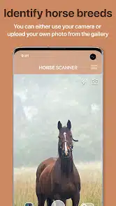 تحميل تطبيق Horse Scanner للاندرويد والايفون 2025 اخر اصدار مجانا