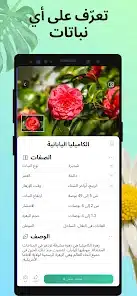 تحميل تطبيق PictureThis مهكر Apk للاندرويد والايفون 2025 اخر اصدار مجانا