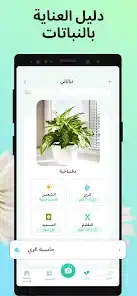 تحميل تطبيق PictureThis مهكر Apk للاندرويد والايفون 2025 اخر اصدار مجانا