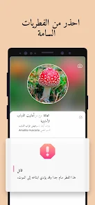 تحميل تطبيق Picture Mushroom مهكر Apk للاندرويد والايفون 2025 اخر اصدار مجانا