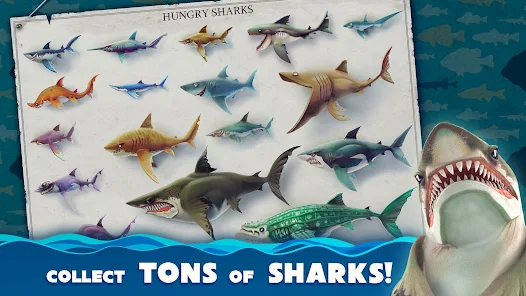 تحميل لعبة القرش Hungry Shark World مهكرة Apk للاندرويد والايفون 2025 اخر اصدار مجانا