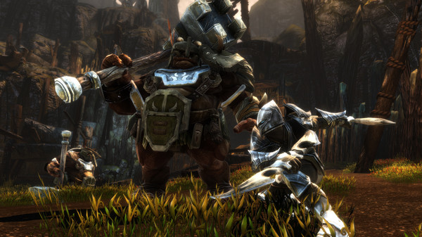 تحميل لعبة Kingdoms of Amalur: Re-Reckoning 2025 للكمبيوتر مجانا