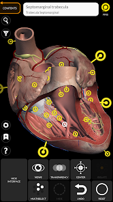 تحميل تطبيق Anatomy 3D Atlas لدراسة علم التشريح البشري للاندرويد والايفون 2025 اخر اصدار مجانا