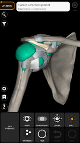 تحميل تطبيق Anatomy 3D Atlas لدراسة علم التشريح البشري للاندرويد والايفون 2025 اخر اصدار مجانا