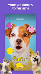 تحميل تطبيق PetStar: My Dog & Cat Sings Apk للاندرويد والايفون 2025 اخر اصدار مجانا